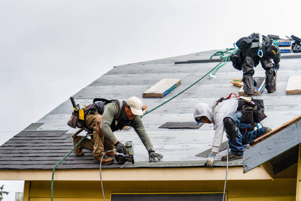 Professional Gutter Installation technician working in Hampton, GA